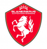 Logo SV Glanerbrug 1