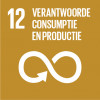 SDG icon NL RGB 12